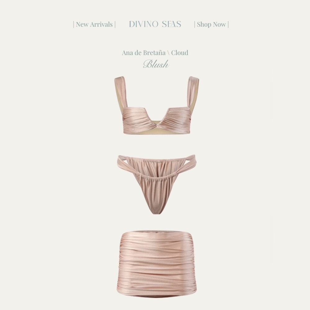 NWT Divino Seas Blush Bikini Set